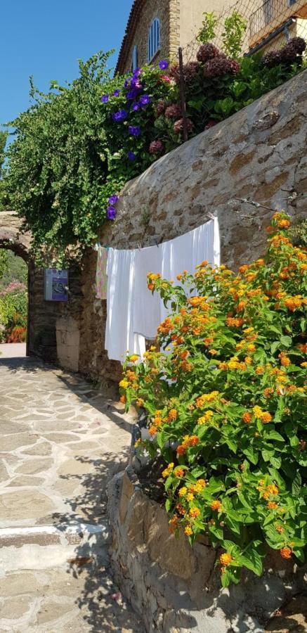 L'Odyssee Provencale, Un Duplex De Charme De 2 Chambres Au Pied Du Village Medieval De Bormes-Les-Mimosas, Offrant Des Prestations Haut De Gamme Et Une Superbe Vue Sur Le Massif Des Maures エクステリア 写真