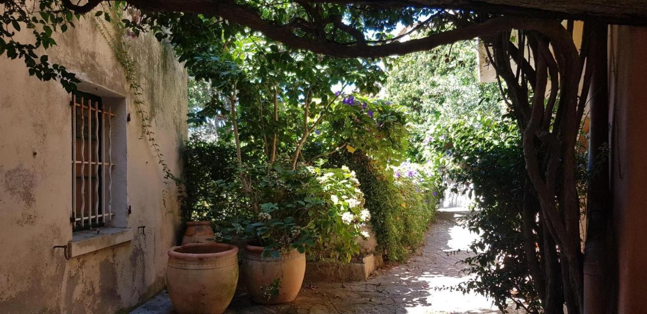 L'Odyssee Provencale, Un Duplex De Charme De 2 Chambres Au Pied Du Village Medieval De Bormes-Les-Mimosas, Offrant Des Prestations Haut De Gamme Et Une Superbe Vue Sur Le Massif Des Maures エクステリア 写真